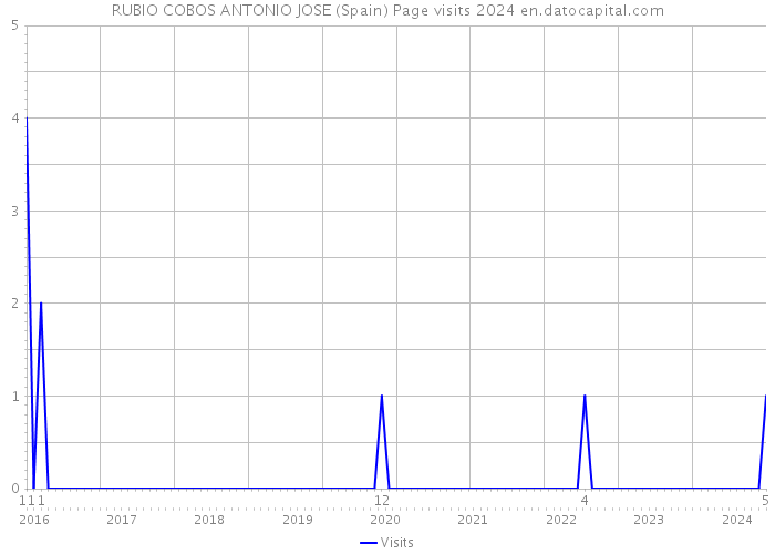 RUBIO COBOS ANTONIO JOSE (Spain) Page visits 2024 