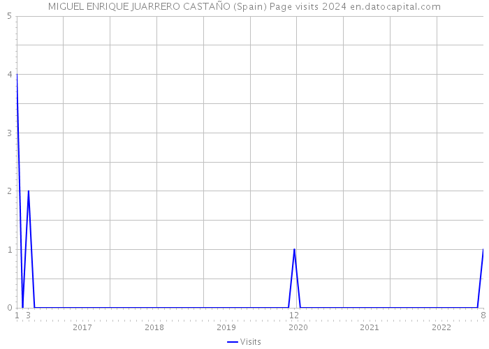 MIGUEL ENRIQUE JUARRERO CASTAÑO (Spain) Page visits 2024 