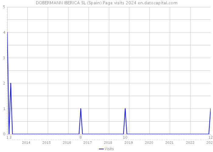 DOBERMANN IBERICA SL (Spain) Page visits 2024 