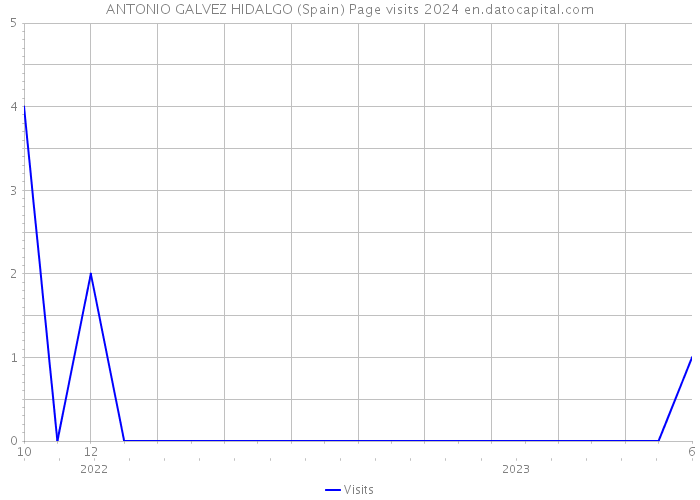 ANTONIO GALVEZ HIDALGO (Spain) Page visits 2024 