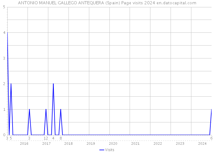 ANTONIO MANUEL GALLEGO ANTEQUERA (Spain) Page visits 2024 