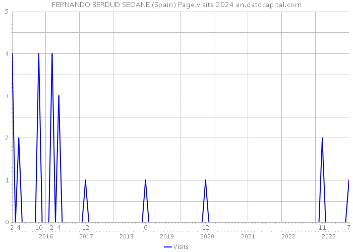 FERNANDO BERDUD SEOANE (Spain) Page visits 2024 