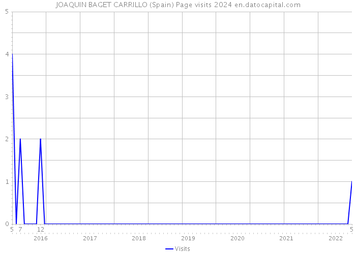 JOAQUIN BAGET CARRILLO (Spain) Page visits 2024 