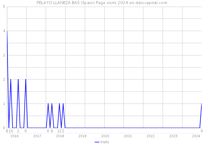 PELAYO LLANEZA BAS (Spain) Page visits 2024 