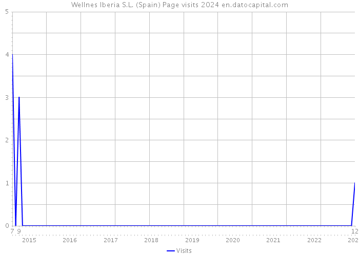 Wellnes Iberia S.L. (Spain) Page visits 2024 