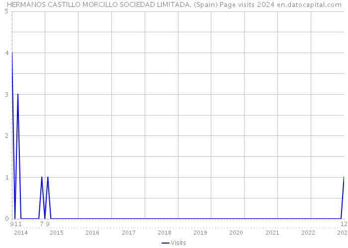 HERMANOS CASTILLO MORCILLO SOCIEDAD LIMITADA. (Spain) Page visits 2024 