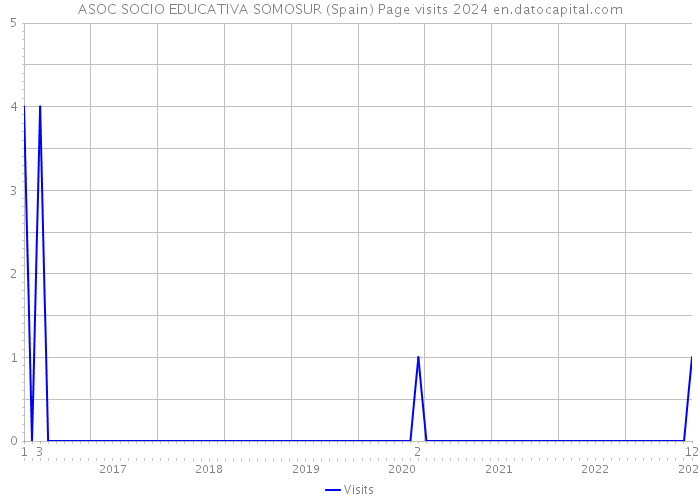 ASOC SOCIO EDUCATIVA SOMOSUR (Spain) Page visits 2024 