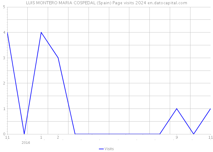 LUIS MONTERO MARIA COSPEDAL (Spain) Page visits 2024 