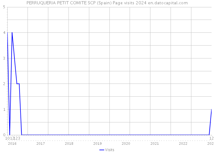 PERRUQUERIA PETIT COMITE SCP (Spain) Page visits 2024 