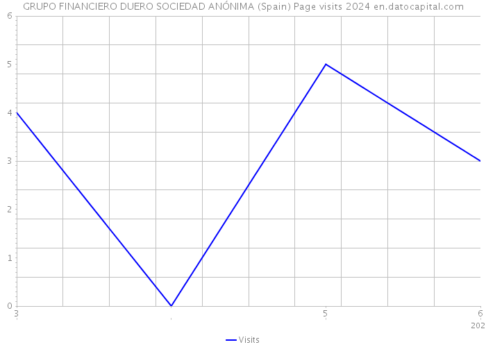 GRUPO FINANCIERO DUERO SOCIEDAD ANÓNIMA (Spain) Page visits 2024 