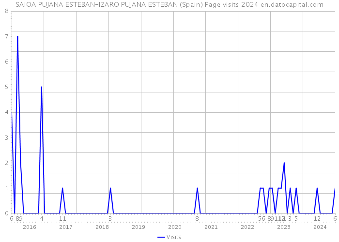 SAIOA PUJANA ESTEBAN-IZARO PUJANA ESTEBAN (Spain) Page visits 2024 