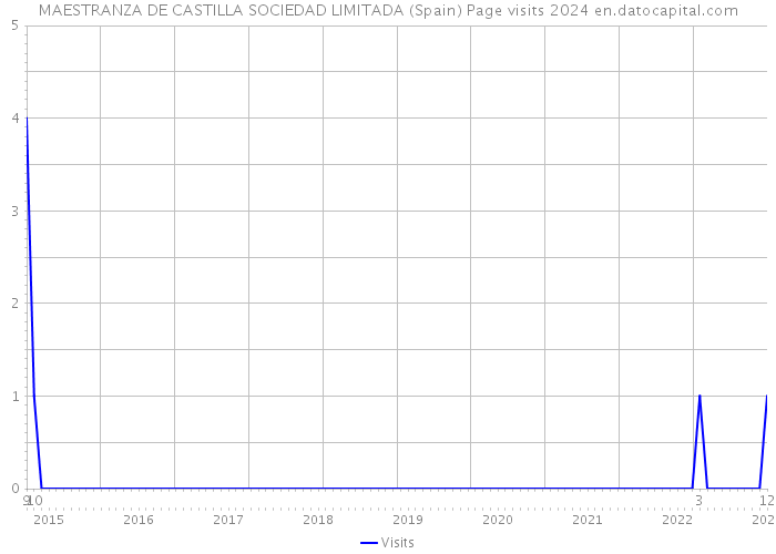 MAESTRANZA DE CASTILLA SOCIEDAD LIMITADA (Spain) Page visits 2024 