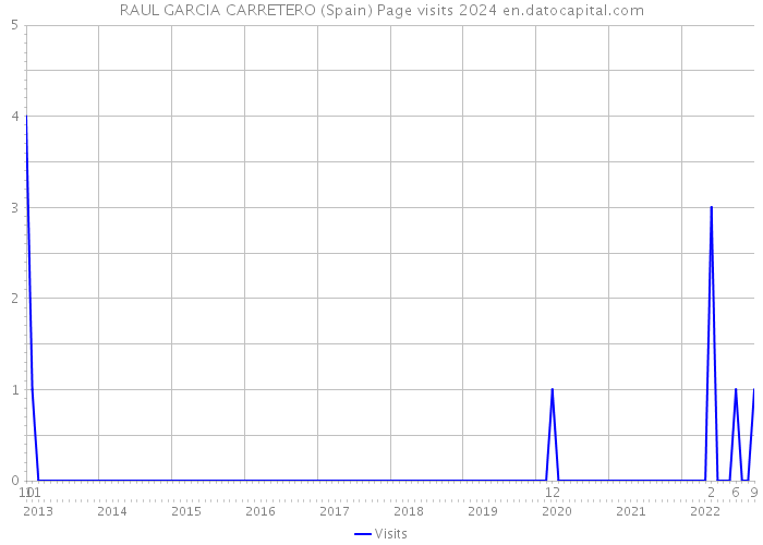 RAUL GARCIA CARRETERO (Spain) Page visits 2024 
