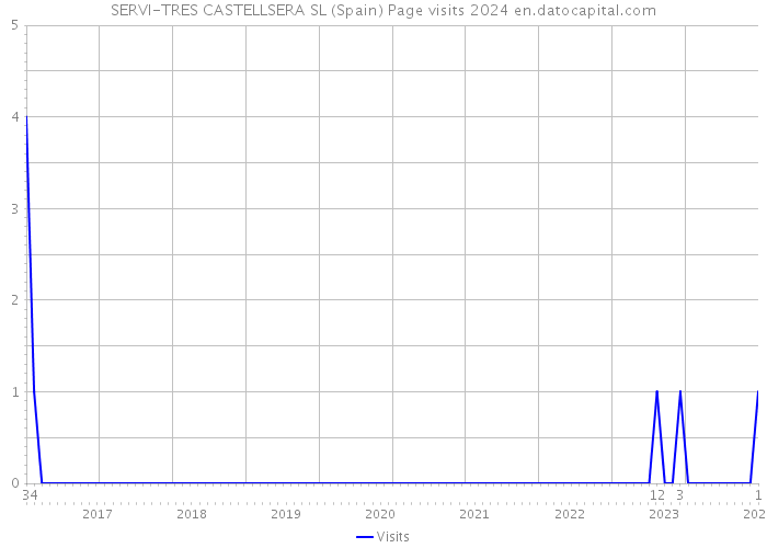 SERVI-TRES CASTELLSERA SL (Spain) Page visits 2024 