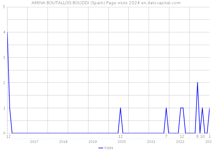 AMINA BOUTALLISS BOUZIDI (Spain) Page visits 2024 