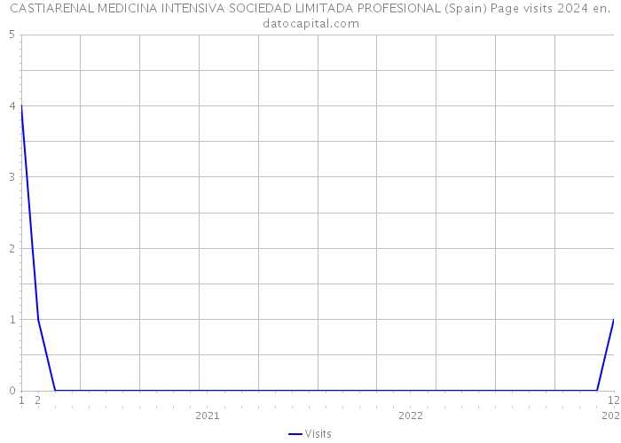 CASTIARENAL MEDICINA INTENSIVA SOCIEDAD LIMITADA PROFESIONAL (Spain) Page visits 2024 