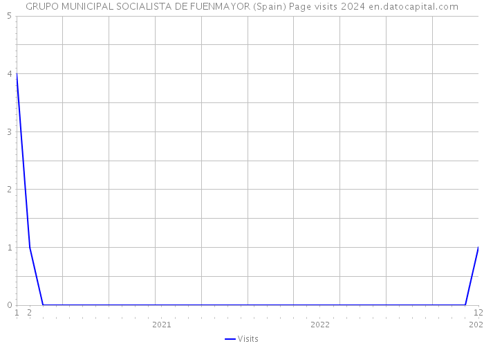 GRUPO MUNICIPAL SOCIALISTA DE FUENMAYOR (Spain) Page visits 2024 