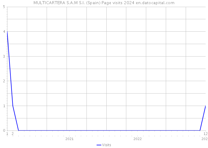 MULTICARTERA S.A.M S.I. (Spain) Page visits 2024 