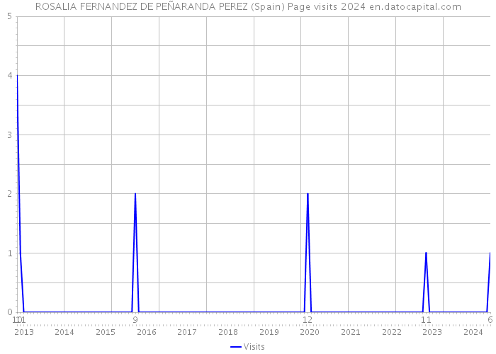 ROSALIA FERNANDEZ DE PEÑARANDA PEREZ (Spain) Page visits 2024 