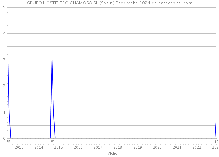 GRUPO HOSTELERO CHAMOSO SL (Spain) Page visits 2024 