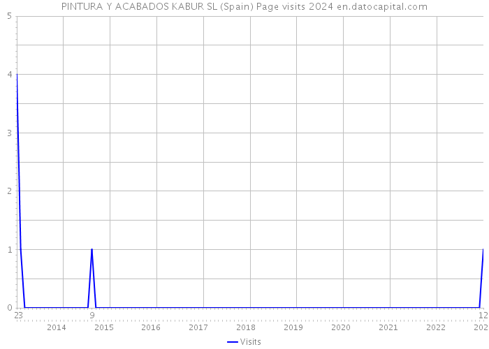 PINTURA Y ACABADOS KABUR SL (Spain) Page visits 2024 