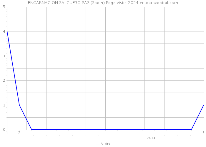 ENCARNACION SALGUERO PAZ (Spain) Page visits 2024 