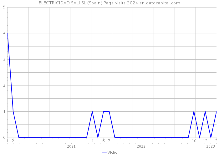 ELECTRICIDAD SALI SL (Spain) Page visits 2024 
