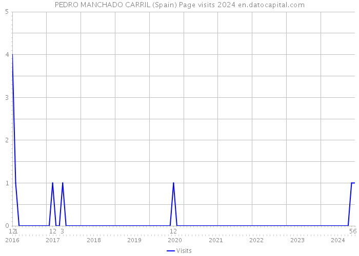 PEDRO MANCHADO CARRIL (Spain) Page visits 2024 