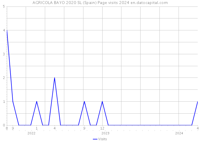 AGRICOLA BAYO 2020 SL (Spain) Page visits 2024 