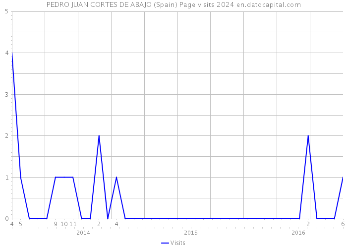 PEDRO JUAN CORTES DE ABAJO (Spain) Page visits 2024 