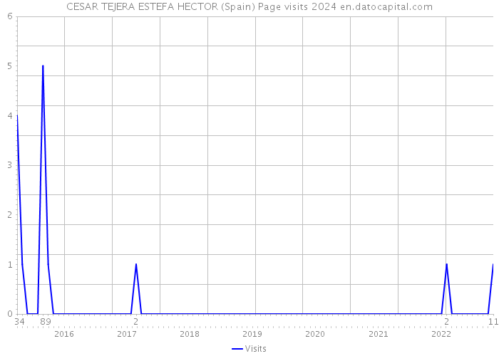 CESAR TEJERA ESTEFA HECTOR (Spain) Page visits 2024 