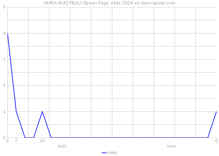 NURIA RUIZ FELIU (Spain) Page visits 2024 