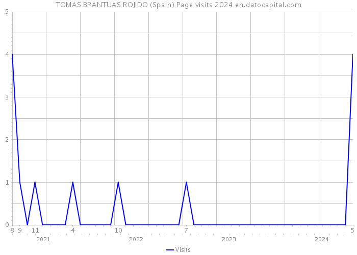 TOMAS BRANTUAS ROJIDO (Spain) Page visits 2024 
