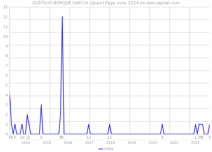 GUSTAVO BORQUE GARCIA (Spain) Page visits 2024 