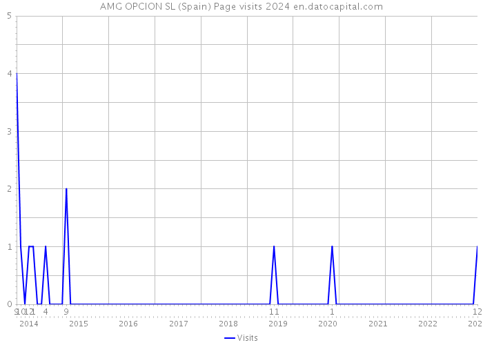 AMG OPCION SL (Spain) Page visits 2024 