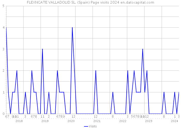 FLEXNGATE VALLADOLID SL. (Spain) Page visits 2024 