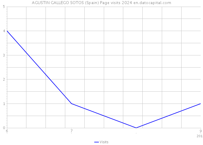 AGUSTIN GALLEGO SOTOS (Spain) Page visits 2024 