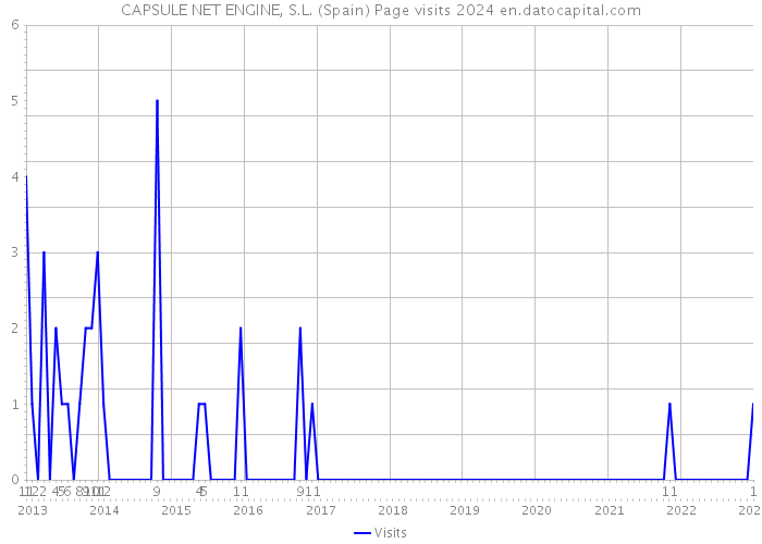 CAPSULE NET ENGINE, S.L. (Spain) Page visits 2024 