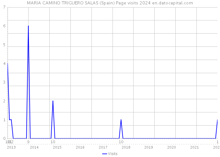 MARIA CAMINO TRIGUERO SALAS (Spain) Page visits 2024 
