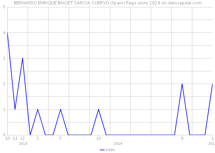 BERNARDO ENRIQUE BAIGET GARCIA CUERVO (Spain) Page visits 2024 