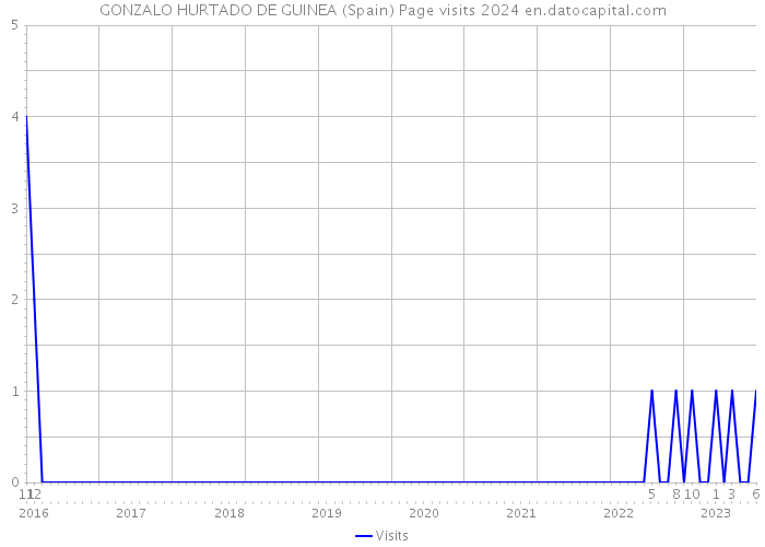 GONZALO HURTADO DE GUINEA (Spain) Page visits 2024 