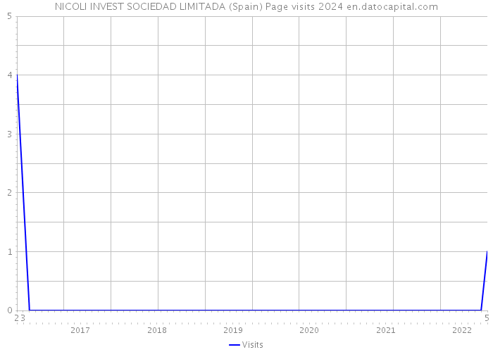 NICOLI INVEST SOCIEDAD LIMITADA (Spain) Page visits 2024 