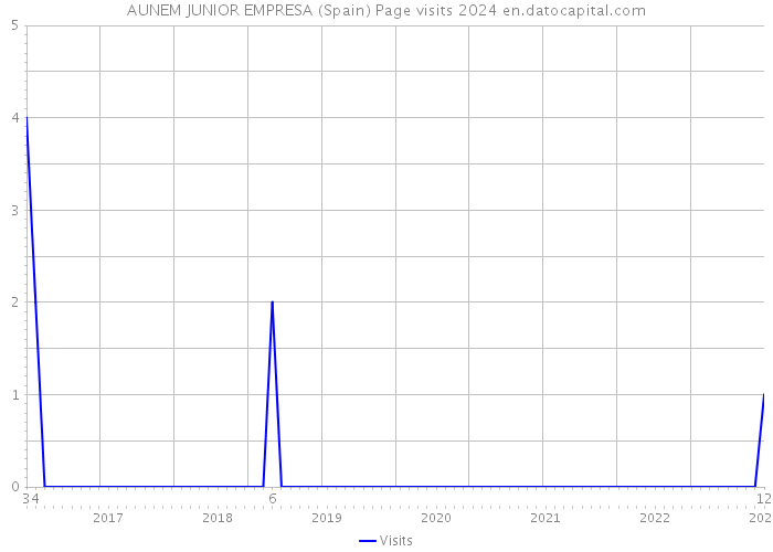 AUNEM JUNIOR EMPRESA (Spain) Page visits 2024 