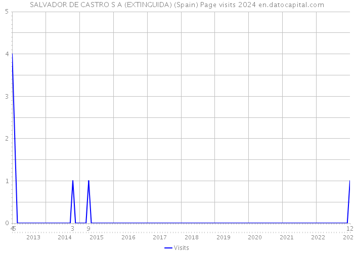 SALVADOR DE CASTRO S A (EXTINGUIDA) (Spain) Page visits 2024 