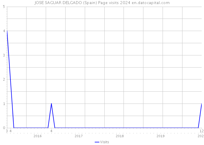JOSE SAGUAR DELGADO (Spain) Page visits 2024 