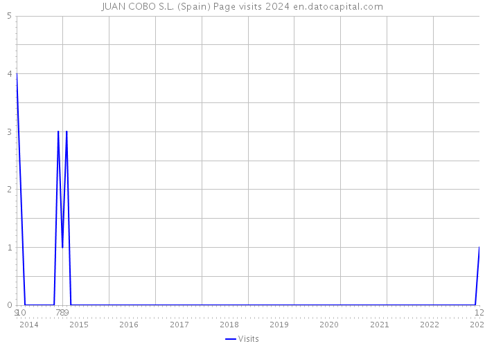 JUAN COBO S.L. (Spain) Page visits 2024 