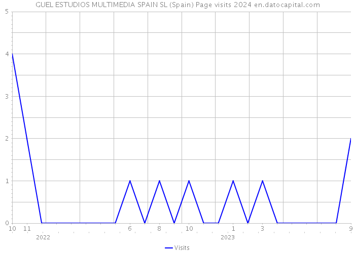 GUEL ESTUDIOS MULTIMEDIA SPAIN SL (Spain) Page visits 2024 