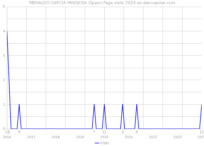 REINALDO GARCIA HINOJOSA (Spain) Page visits 2024 