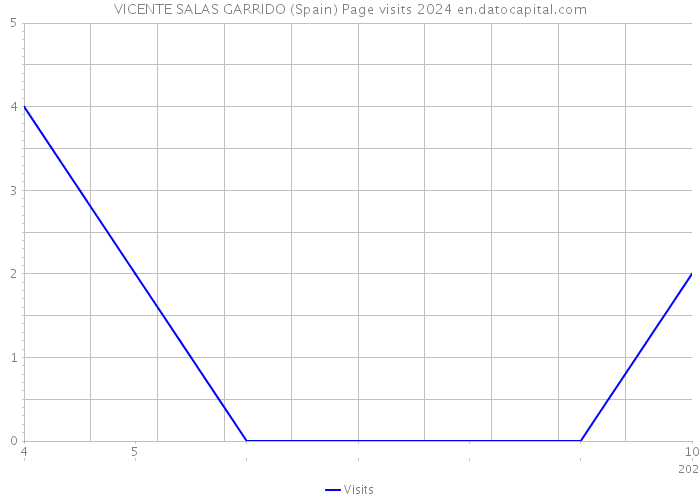 VICENTE SALAS GARRIDO (Spain) Page visits 2024 