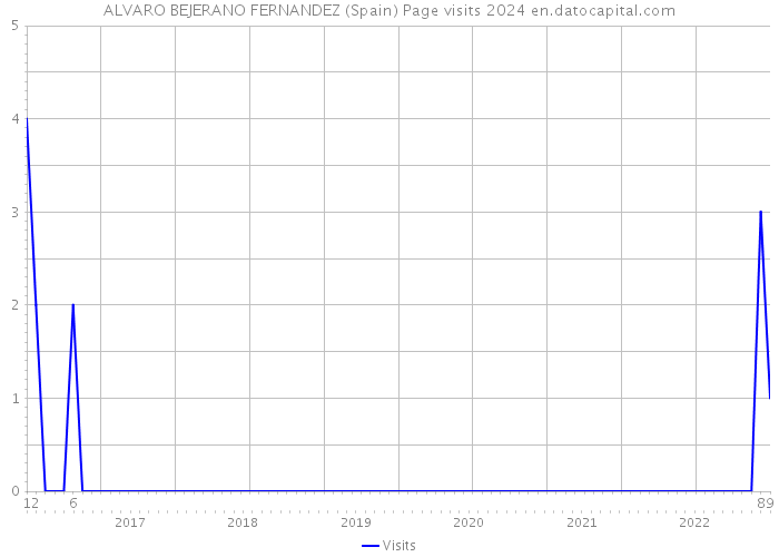 ALVARO BEJERANO FERNANDEZ (Spain) Page visits 2024 